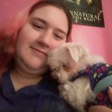 Looking For a Dog Sitting Professional Job in Grand Haven