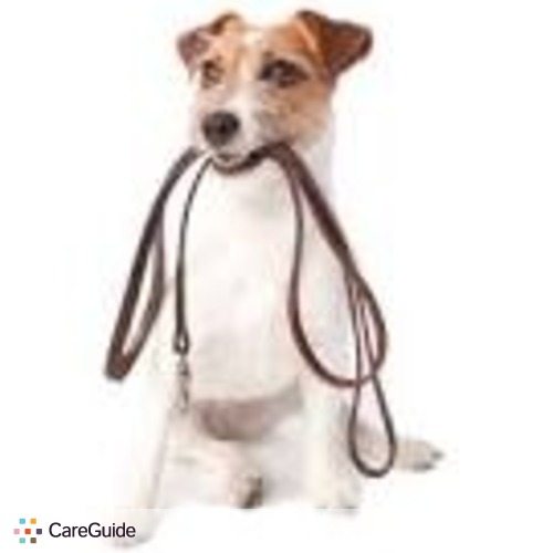 Pet Care Provider Marcell F's Profile Picture