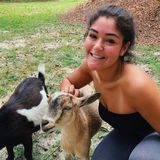 Available: Loving House Sitter in Tallahassee