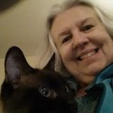 I would like to help out with small dogs and cats.