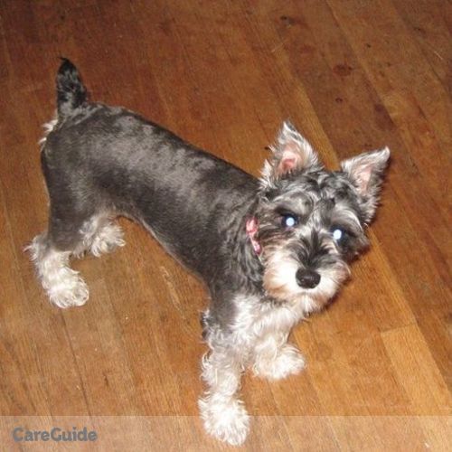 Pet Care Provider Brittany M's Profile Picture