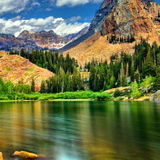 Quality and Compassionate Elderly Support Worker Seeking Position In Canada.