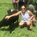 Dog Walker and Dog Sitter