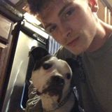 Knowledgeable Dog Walking Available Now!