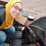 Animal lover looking to take care of your fur babies