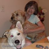I would love to care for your dog in my home.