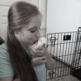 Peace of mind pet sitter