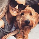 Disciplined Dog Walker Available Immediately