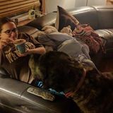 Capable Petsitter Available Immediately