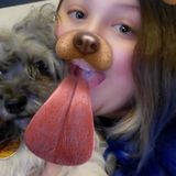 Crestview Dog Sitter Looking For Job Opportunities in Florida