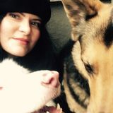 Perkasie Pet Sitter for dogs, cats, and exotic pets