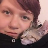 Pet care provider