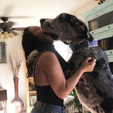 Actives animal sitter