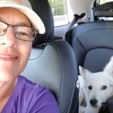 Holistic Pet Sitter Available Immediately