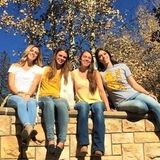 I am currently a student at the University of Wyoming, as well as a very meticulous person willing to do the work for you.