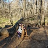 Available For a Caretaker Job in Oxford, Georgia and surrounding areas.