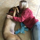Katy Pet Service Provider Seeking Job Opportunities
