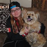 The Dog Lover at Your Service