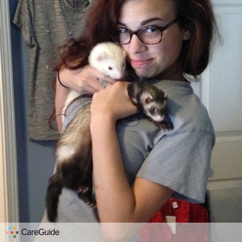 Pet Care Provider Rachel J's Profile Picture