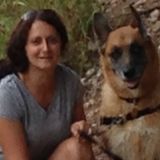 North Bay Dog Walker/ Sitter/ Over-night Care