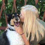 A Flower Mound animal lover looking for job opportunities with Fury friends!