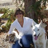 Pet sitter
