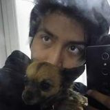 Garden Grove Pet Supervisor Interested In Work