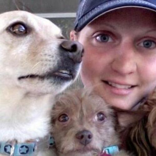 Pet Care Job Cassandra Miller's Profile Picture