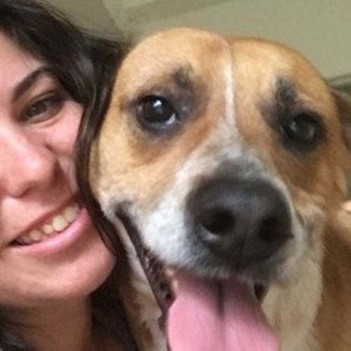 Pet Care Provider Elizabeth A's Profile Picture