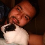 Pet Sitting Offered in London
