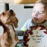 Looking for a Full-time or Part-Time Nanny in East Gwillimbury