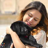 I'm a medical student at Temple University and would love to be your Dog's Sitter