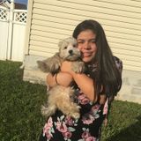 My name is Mayrin Hernandez and i would LOVE to walk and sit dogs. Im offering love to the little guys who dont get it much.