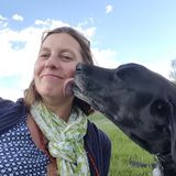 Available: Capable House Sitter in Chicago, Illinois