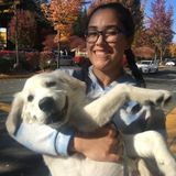 Lynnwood Pet Sitter Looking For Part-Time Job Opportunities