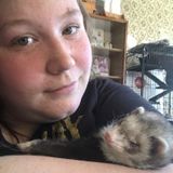I am a teen who is Dependable and ready to work to pet sit your pets or walk your pets