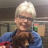 Allen Home Carer Searching for Work in Texas