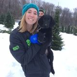 Scranton Pet Care Provider Available For Job Opportunities