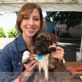 Trustworthy House Sitter Available Immediately