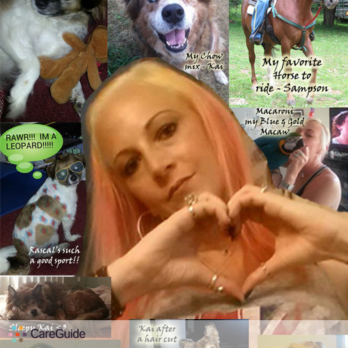 Pet Care Provider Erin K's Profile Picture