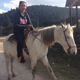 Dedicated and responsible Caretaker. Love pets :)