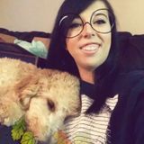 Looking For a Pet Care Provider Job in North Canton, Ohio