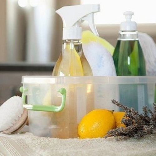 Housekeeper Provider Crystal H's Profile Picture