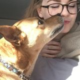 Professional Dog Trainer in Stony Plain