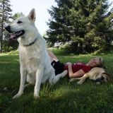 Loving care for your best friend in Gatineau and Ottawa :)