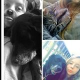I love dogs and cats