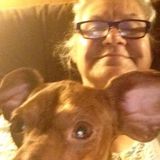 Wagoner Dog Sitting Professional Seeking Work in Oklahoma