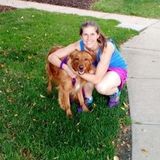 Careful Housesitter in Westminster, Colorado looking to care for your home!