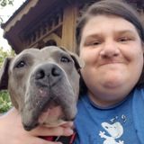 Enthusiastic Petsitter