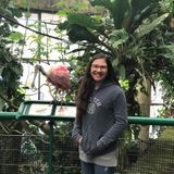 Experienced Petsitter